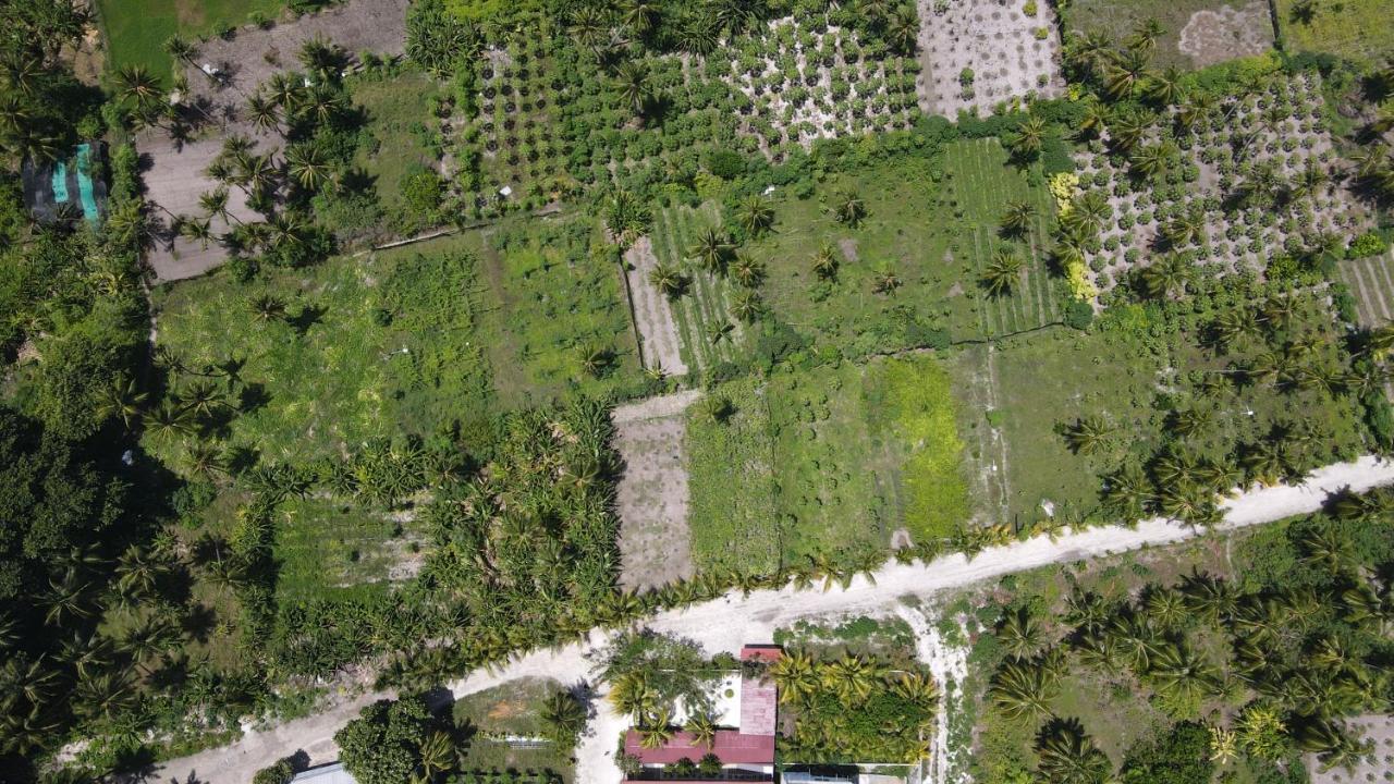 ホテル Thila Farm View ソドゥー エクステリア 写真