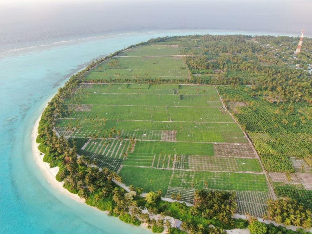 ホテル Thila Farm View ソドゥー エクステリア 写真