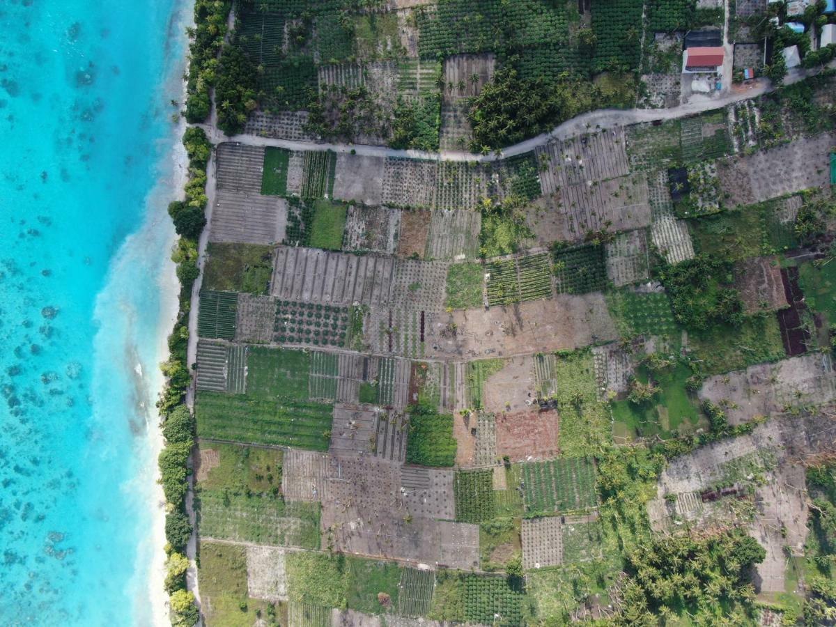 ホテル Thila Farm View ソドゥー エクステリア 写真